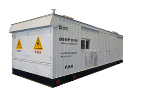 PRIETENI 500 kW Natural Gas Genset